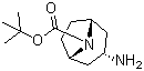 N-Boc-内-3-氨基托烷分子结构 (CAS 207405-68-3)