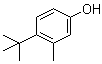 4-tert-Butyl-3-methylphenol molecular structure (CAS 2219-72-9)