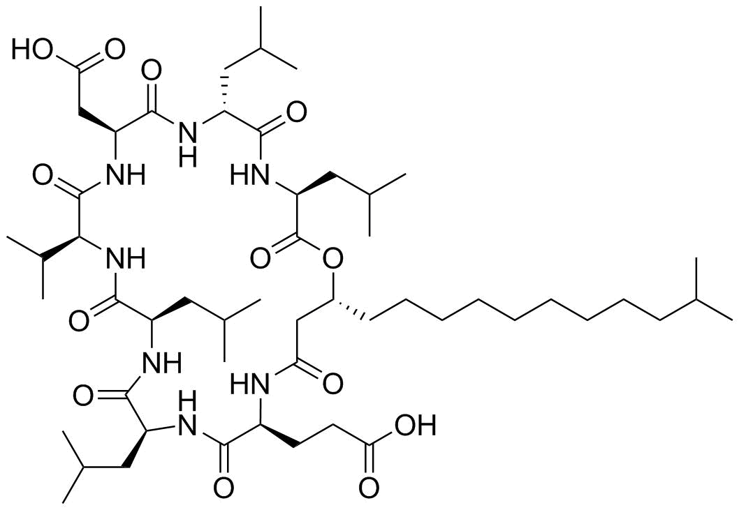Surfactin molecular structure (CAS 24730-31-2)