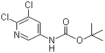 tert-Butyl (5,6-dichloropyridin-3-yl)carbamate molecular structure (CAS 275383-96-5)