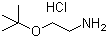 2-(叔丁氧基)-乙胺盐酸盐分子结构 (CAS 335598-67-9)