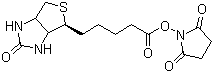 (+)-生物素 N-羟基琥珀酰亚胺酯分子结构 (CAS 35013-72-0)