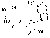 2-氨基嘌呤核苷二磷酸酯分子结构 (CAS 36475-53-3)