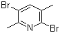 2,5-Dibromo-3,6-dimethylpyridine molecular structure (CAS 38749-93-8)