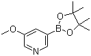 3-Methoxy-5-pyridineboronic acid pinacol ester molecular structure (CAS 445264-60-8)