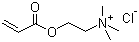 丙烯酰氧乙基三甲基氯化铵分子结构 (CAS 44992-01-0)