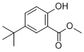 CAS 登录号：52888-72-9, 5-叔丁基-2-羟基苯甲酸甲酯