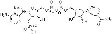 烟酰胺腺嘌呤双核苷酸磷酸盐分子结构 (CAS 53-59-8)