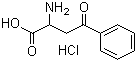 alpha-氨基-gamma-氧代苯丁酸盐酸盐分子结构 (CAS 54631-37-7)