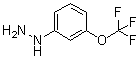 [3-三氟甲氧基苯基]肼分子结构 (CAS 650628-49-2)