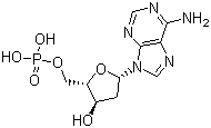 2'-脱氧腺苷-5'-单磷酸分子结构 (CAS 653-63-4)