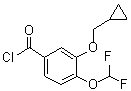 3-(环丙基甲氧基)-4-(二氟甲氧基)苯甲酰氯分子结构 (CAS 672883-68-0)
