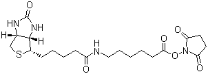 生物素化-epsilon-氨基己酸-N-羟基丁二酰亚胺活化酯分子结构 (CAS 72040-63-2)