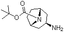 N-Boc-exo-3-aminotropane molecular structure (CAS 744183-20-8)