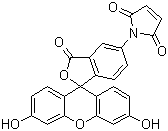 Fluorescein 5-maleimide molecular structure (CAS 75350-46-8)