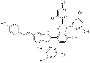 Gnetumontanin B molecular structure (CAS 809237-87-4)