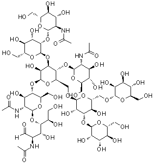 O-2-(Acetylamino)-2-deoxy-beta-D-glucopyranosyl-(1→4)-O-[O-2-(acetylamino)-2-deoxy-beta-D-glucopyranosyl-(1→2)-alpha-D-mannopyranosyl-(1→3)]-O-[O-alpha-D-mannopyranosyl-(1→3)-O-[alpha-D-Mannopyranosyl-(1→6)]-alpha-D-mannopyranosyl-(1→6)]-O-beta-D-mannopyranosyl-(1→4)-O-2-(acetylamino)-2-deoxy-beta-D-glucopyranosyl-(1→4)-2-(acetylamino)-2-deoxy-D-glucose molecular structure (CAS 84182-21-8)