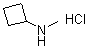 N-甲基环丁胺盐酸盐分子结构 (CAS 848497-98-3)