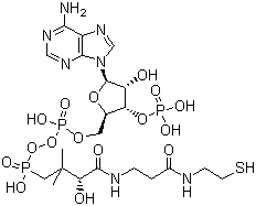 辅酶 A分子结构 (CAS 85-61-0)