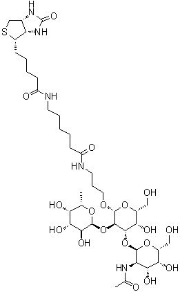 (3aS,4S,6aR)-N-[6-[[3-[[O-2-(乙酰氨基)-2-脱氧-alpha-D-吡喃半乳糖基-(1→3)-O-[6-脱氧-alpha-L-吡喃半乳糖基-(1→2)]-beta-D-吡喃半乳糖基]氧基]丙基]氨基]-6-氧代己基]六氢-2-氧代-1H-噻吩并[3,4-d]咪唑-4-戊酰胺分子结构 (CAS 870891-83-1)