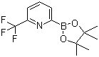 6-(三氟甲基)吡啶-2-硼酸频哪醇酯分子结构 (CAS 881402-16-0)