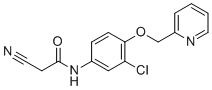 N-[3-chloro-4-(pyridin-2-ylmethoxy)phenyl]-2-cyanoacetamide molecular structure (CAS 915945-31-2)