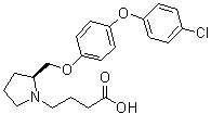 (2S)-2-[[4-(4-氯苯氧基)苯氧基]甲基]-1-吡咯烷丁酸分子结构 (CAS 929916-05-2)