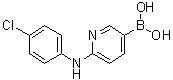 [6-(4-氯苯基氨基)吡啶-3-基]硼酸分子结构 (CAS 951771-31-6)