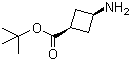 cis-3-Aminocyclobutanecarboxylic acid tert-butyl ester molecular structure (CAS 957793-95-2)